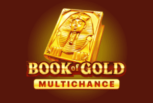 Book of Gold Multichance